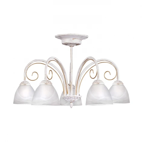 Потолочная люстра Day&Night S9122-5