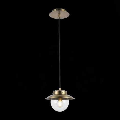 Подвесной светильник Evoluce Garonni SLE110103-01