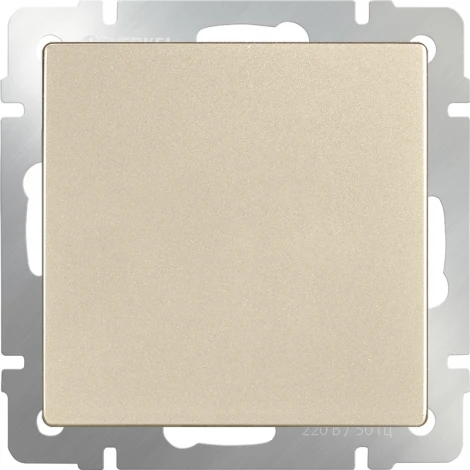 Заглушка (шампань) Werkel W1159211 (a050855)