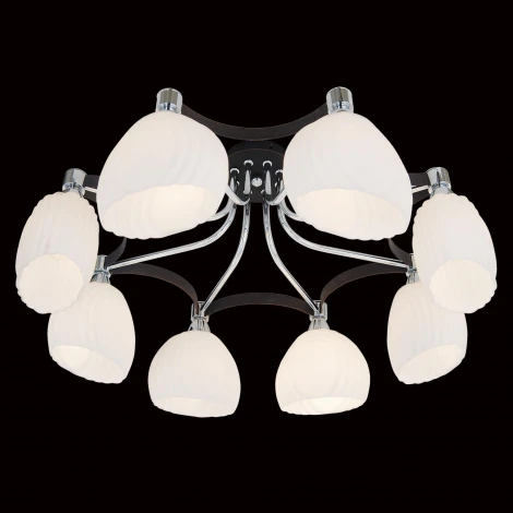 Потолочная люстра Citilux Iris CL143181