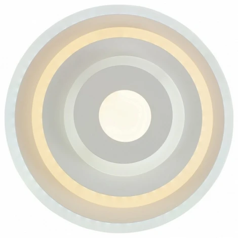 Настенный светильник Escada Led 10210/1LED (220V, круглые)