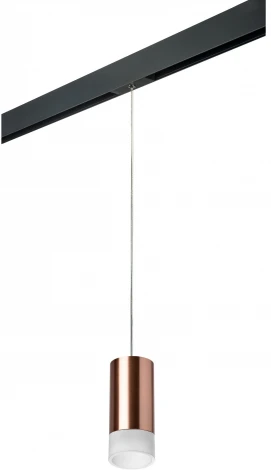 Трековый светильник однофазный 220V Lightstar Rullo PRORP43031 (круглые)