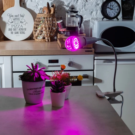 Лампа светодиодная для растений, прозрачная, спектр для рассады и цветения Uniel LED-A60-15W/SPSB/E27/CL PLP30WH