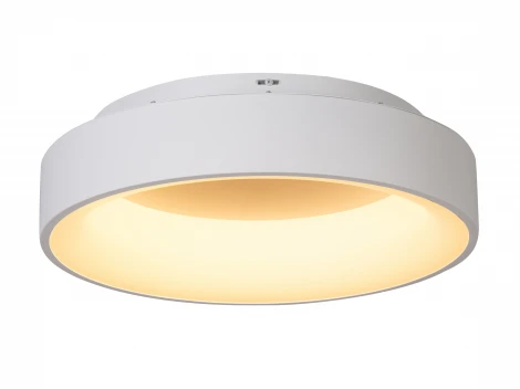 Потолочный светодиодный светильник круглый MyFar Shannon MR2194-1PL (220V, пульт управления, круглые, IP40)