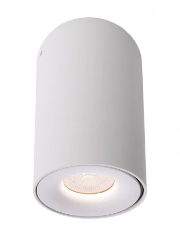 Накладной точечный светильник Deko-Light Bengala LED 348029