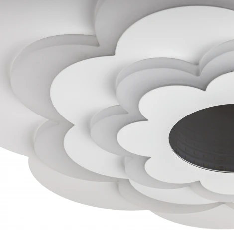 Потолочная люстра светодиодная с ДУ Ritter Viloria 52001 6