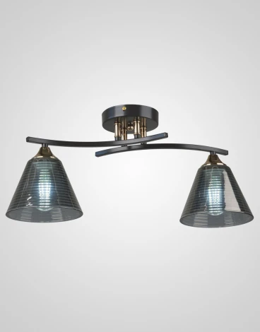 Потолочная люстра на штанге SL8241-2 CF+GD Мелодия Света SL1N 000065848