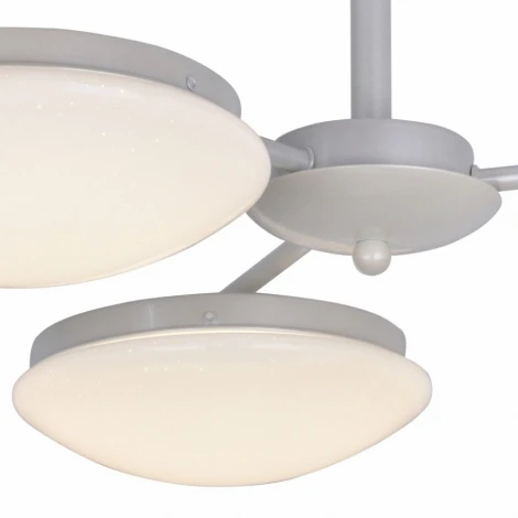 Потолочная люстра F-Promo Ledante 2475-3P