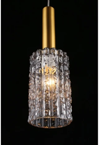 Подвесной светильник Aployt Henrite APL.310.16.01 (220V, на проводе, круглые)