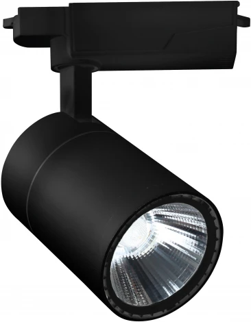 Трековый светильник светодиодный 20032 20032TRA/02 LED 17W 4200K черный матовый (220V, круглые)