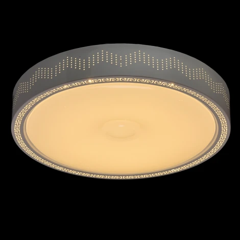 Потолочный светильник MW-Light Ривз 674012001