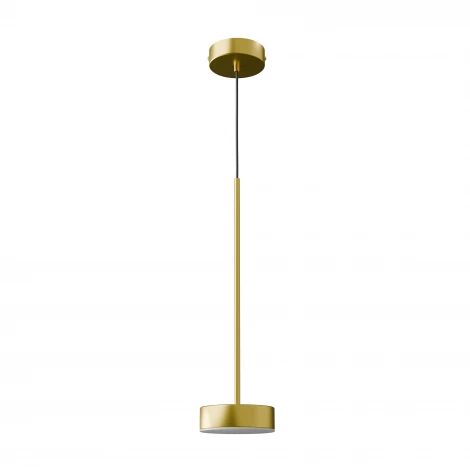 Подвесной светильник с гибким неоном Lightera Taylor LE242L-1G