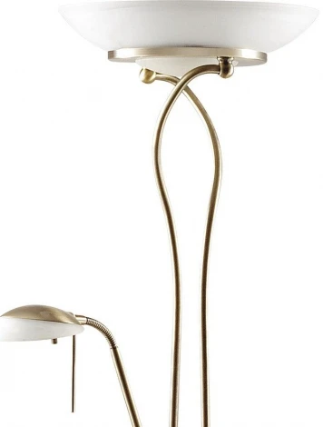 Торшер Odeon Light Axton 2487/F