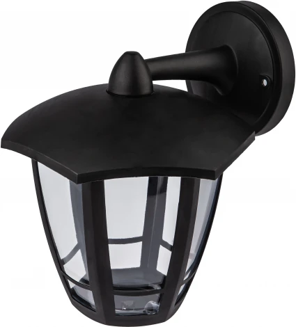 Настенный фонарь уличный ЭРА НБУ 07-40-004 «Дели 3» черный (220V, IP44)