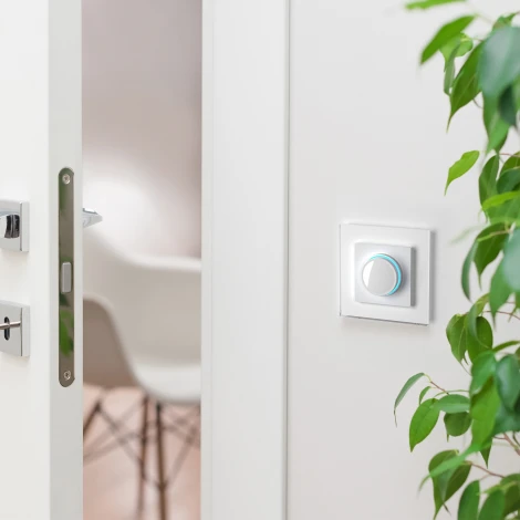 Диммер с подсветкой (белый) Werkel W1142101 (a051137)