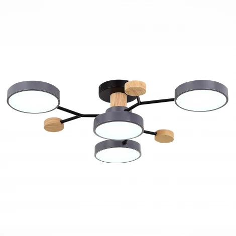 Потолочная люстра на штанге Evoluce Faema SLE6006-702-04