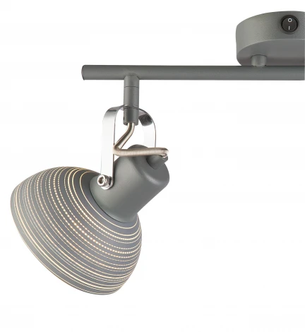 Спот Globo Daisy 54658-2