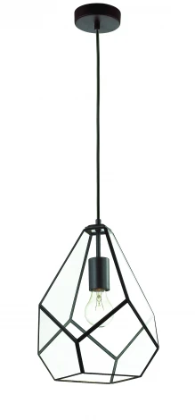 Подвесной светильник Favourite Eislager 1915-1P