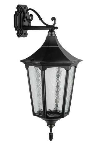 Настенный фонарь уличный Oasis Light ALBORG L 79702L 02C Bl