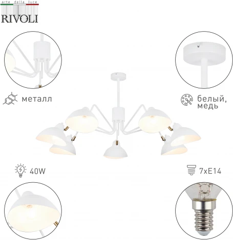 Потолочная люстра на штанге Rivoli Georgia 4100-307