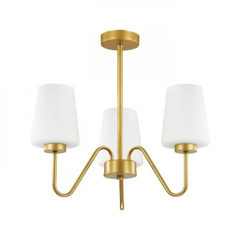 Потолочная люстра Lumion Olivia 3791/3C