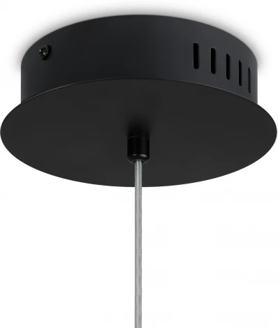 Подвесной светильник Freya Stick FR5395PL-L12B (LED, 220V, на тросе)