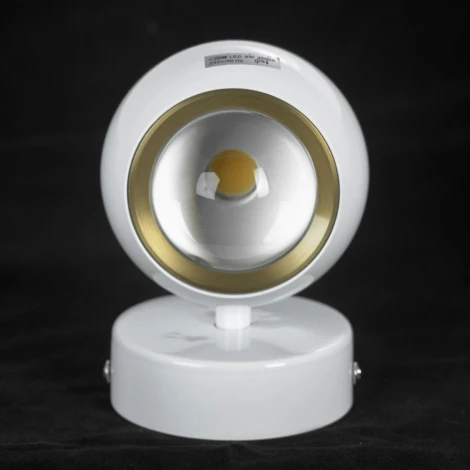 Спот светодиодный Lussole Everett LSP-7076 (220V, шар, круглые)