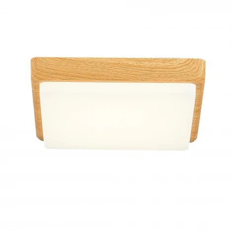 Потолочный светильник Evoluce Taddio SLE200202-01