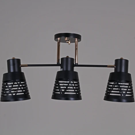 Потолочная люстра на штанге Reluce 06074-3.3-03 BK+FG (220V)