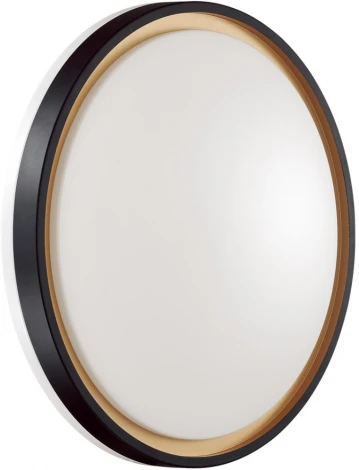 Настенно-потолочный светильник Sonex Klapa 3045/DL