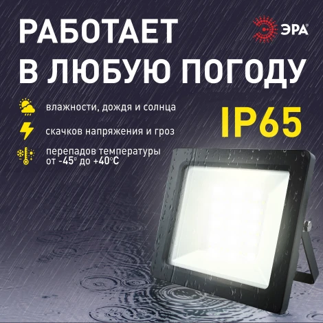 Прожектор уличный светодиодный с датчиком освещенности ЭРА LPR-04 LPR-042-3-65K-050
