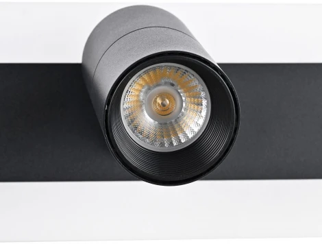 Спот Favourite Trick 4079-3C