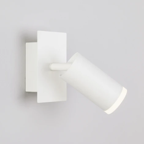 Спот Eurosvet Holly 20067/1 LED белый