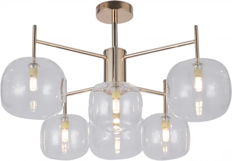 Потолочная люстра F-Promo Beaker 2976-6P