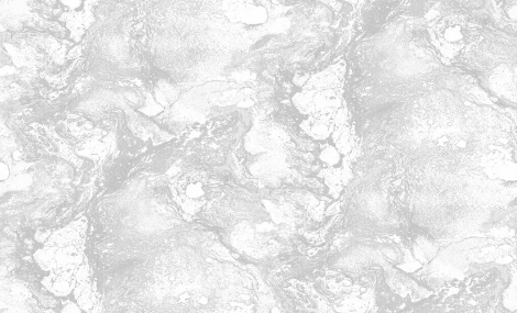 Обои виниловые Erismann Paradise 6 60134-03 10,05 x 1,06 м