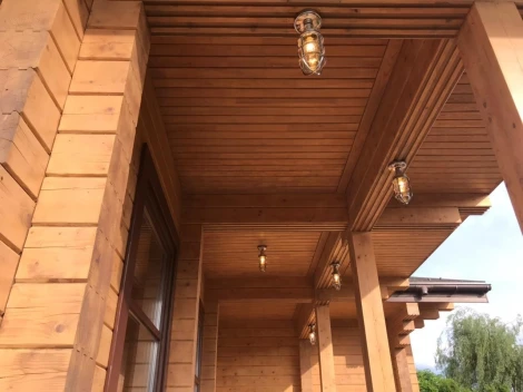 Потолочный светильник круглый Covali PL-51685 (220V, IP54)