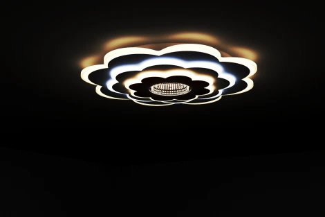 Потолочная люстра светодиодная с ДУ Ritter Viloria 52001 6