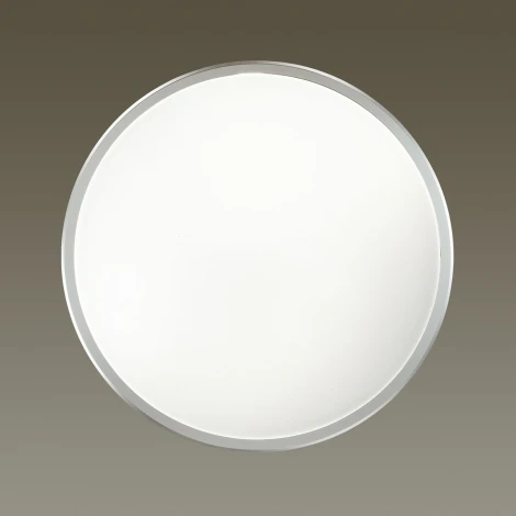 Потолочный светильник Odeon Light Selena 4626/48CL