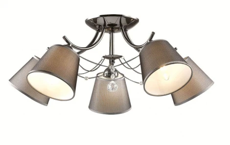 Потолочная люстра Lumion Porta 2974/5C