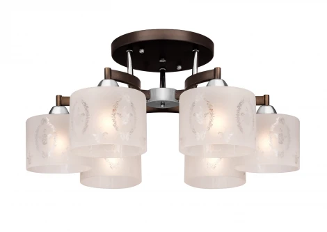 Потолочная люстра Silver Light Camelot 253.59.6