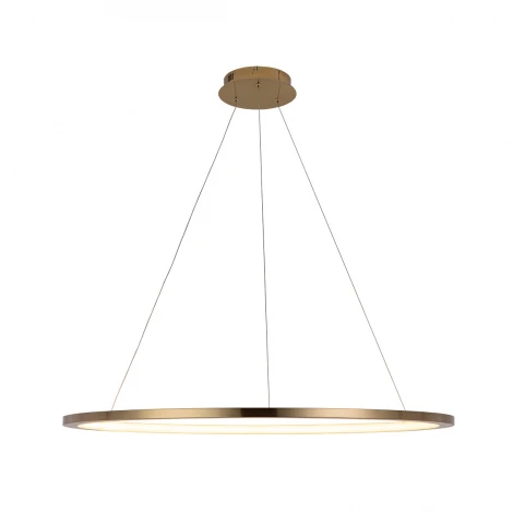 Подвесной светильник Loft IT Ring 10014XL (LED, 220V, на тросе, кольцо)