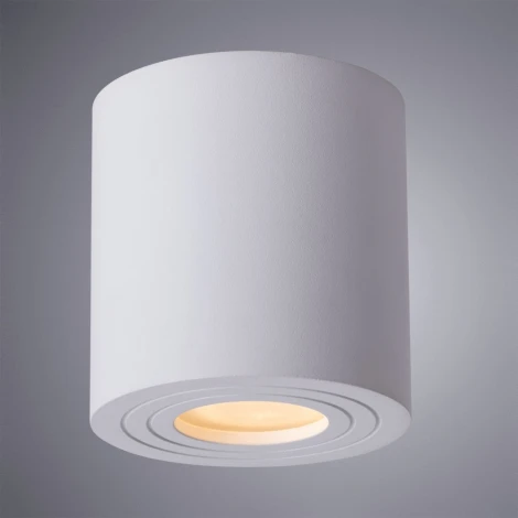 Потолочный светильник уличный Arte Lamp Galopin A1460PL-1WH (220V, круглые, IP44)