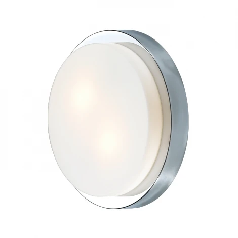 Настенно-потолочный светильник Odeon Light Holger 2746/2C (220V, IP44)