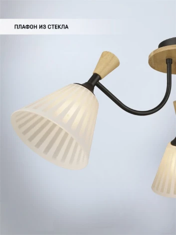 Потолочная люстра Wedo Light Vestmar WD3577/3C-BK-WT