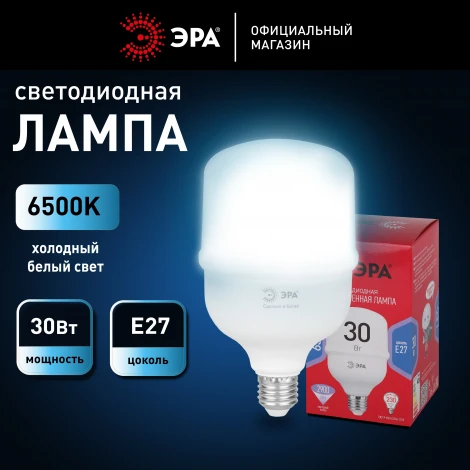 Лампочка светодиодная E27 30W ЭРА LED POWER T80-30W-6500-E27 R