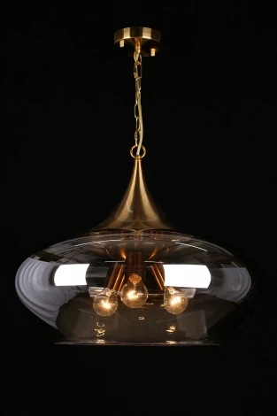 Подвесная люстра Aployt Franko APL.601.16.03 (220V, на цепи, шар)