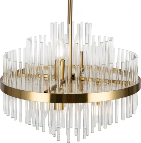 Потолочная люстра на штанге Agora FR5216PL-06BS (220V)