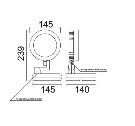 Прожектор уличный Oasis Light Projeсtor W6102S