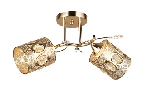 Потолочная люстра на штанге Мелодия Света SS1N SS4816-2 GD 000067896