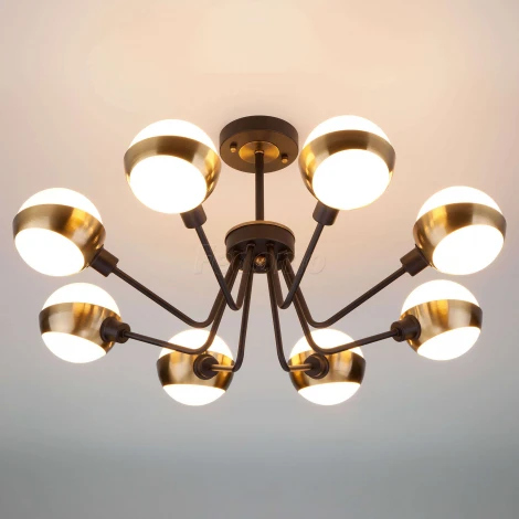 Потолочная люстра Eurosvet Jasper 70093/8 черный